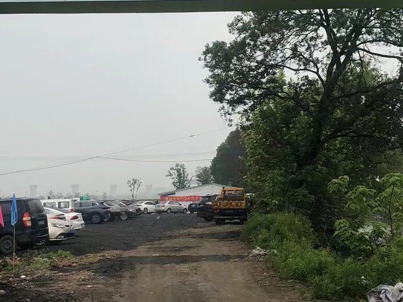 草田湾垂钓中心钓点与钓场环境照片