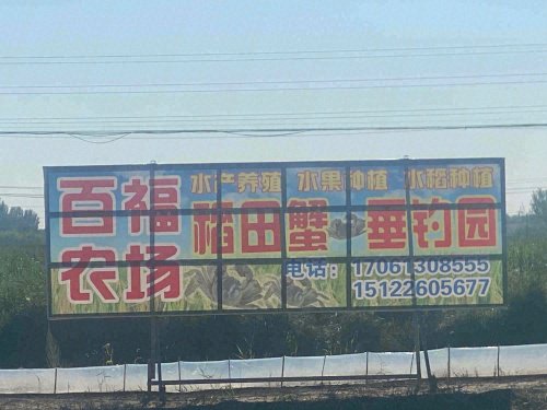 稻田蟹垂钓园百福农场钓点与钓场环境照片