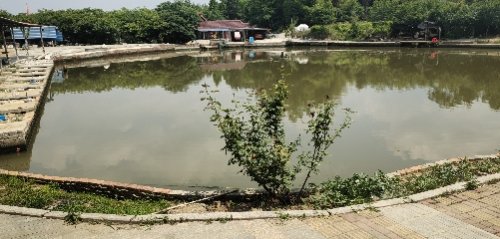 庙家山垂钓中心钓场环境照片