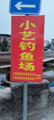 小艺钓鱼场钓场环境照片