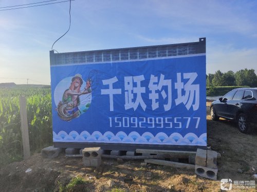 千跃钓场钓点与钓场环境照片