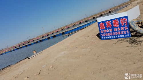 鑫再垂钓园钓场环境照片