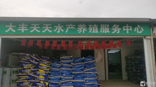 大丰天天垂钓馆钓场环境照片