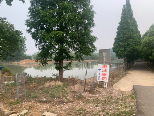 老汪垂钓钓场环境照片