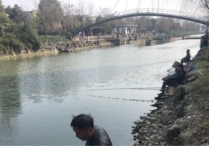 丰潭路塘河钓场环境照片
