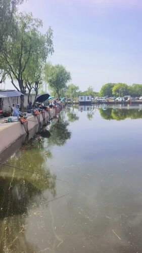 绿色江南钓场钓点与钓场环境照片