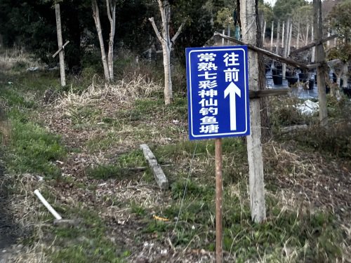 常熟七彩神仙钓鱼塘钓场环境照片