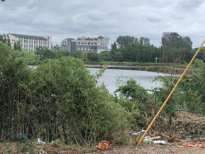 龙渊生态垂钓钓场环境照片