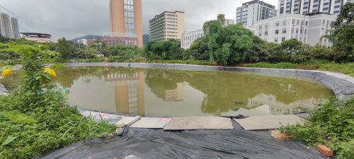 荔枝山钓场钓点与钓场环境照片