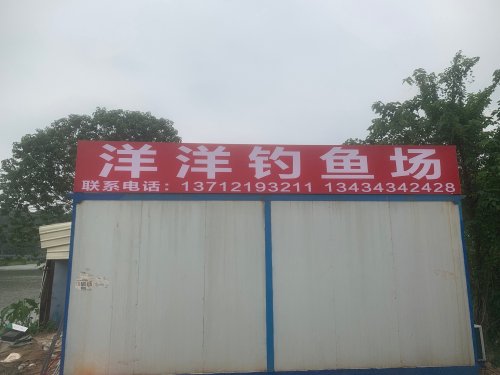 洋洋钓鱼场钓点与钓场环境照片