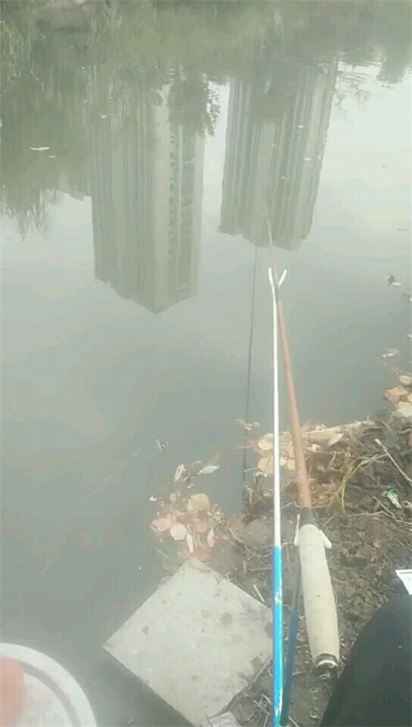 新丰路野钓钓点与钓场环境照片