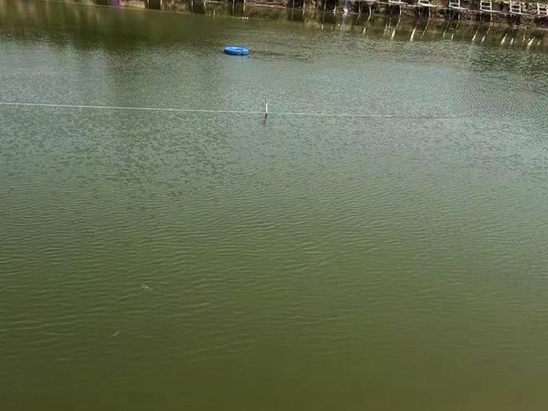 福景大物垂钓园钓点与钓场环境照片