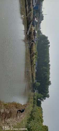 活水垂钓钓场环境照片