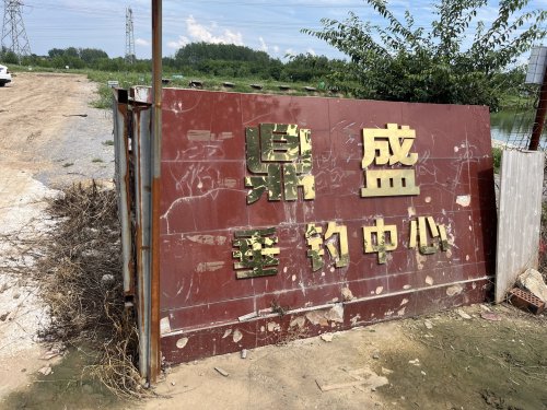 鼎盛垂钓中心钓场环境照片