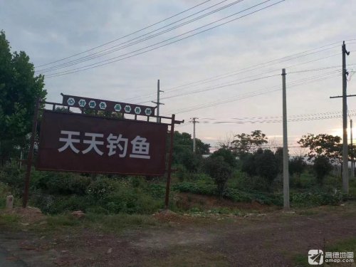 天天钓鱼钓场环境照片