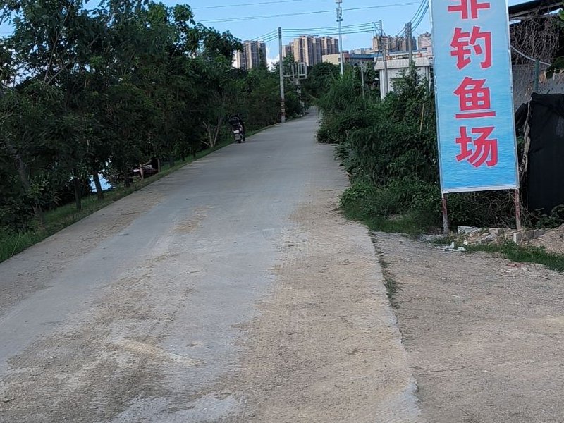 巨非钓鱼场钓点与钓场环境照片