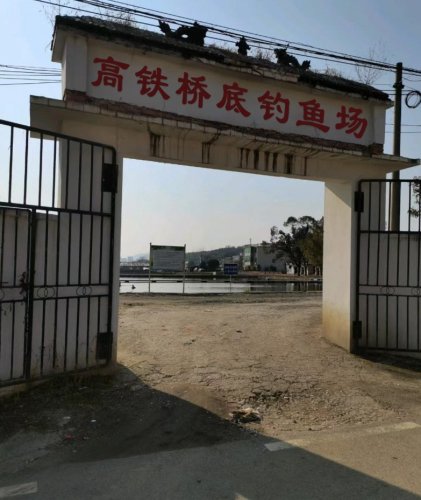 高铁桥底钓鱼场钓点与钓场环境照片