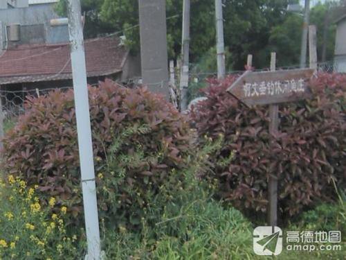 啊文垂钓休闲鱼庄钓场环境照片