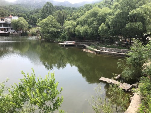 山水艺成休闲垂钓园钓点与钓场环境照片