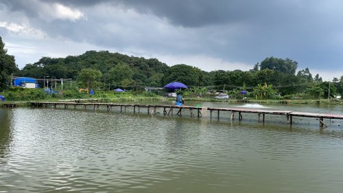 御龙休闲垂钓基地钓点与钓场环境照片