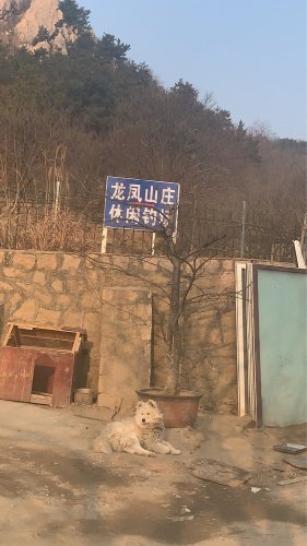 龙凤山庄垂钓钓点与钓场环境照片