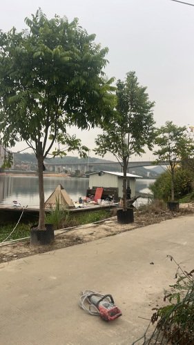 小志钓鱼基地钓点与钓场环境照片