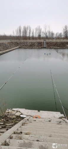 韩屯垂钓园钓场环境照片
