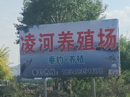 凌河养殖场垂钓园钓场环境照片