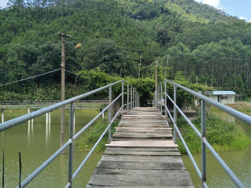 古赖垂钓园钓场环境照片