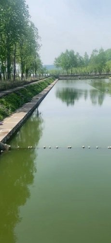 在水一方垂钓园钓场环境照片