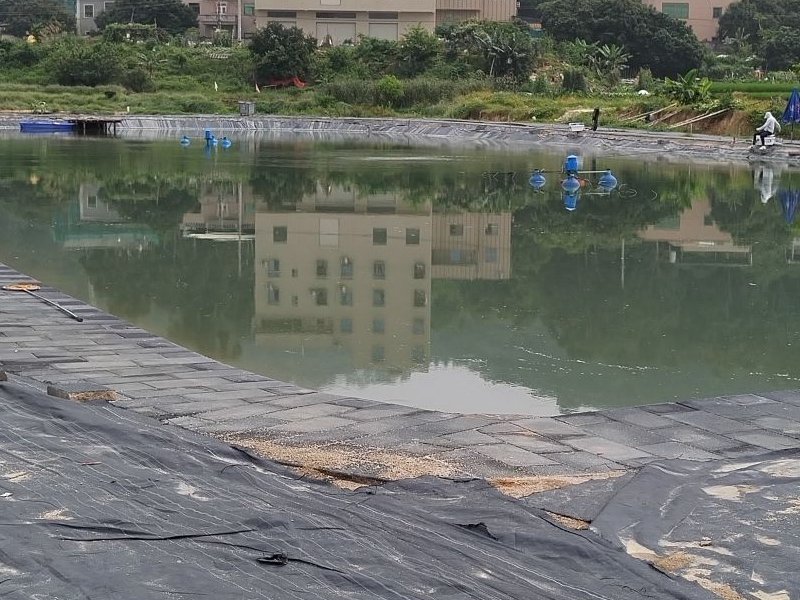 厦门精彩大物钓场钓场环境照片