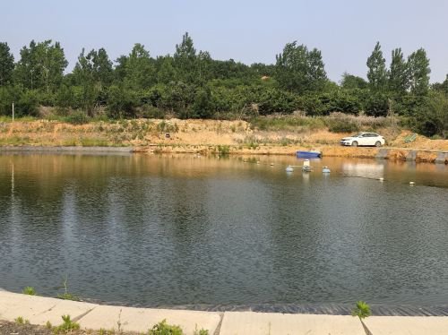 莱山区金斗山休闲垂钓园钓点与钓场环境照片
