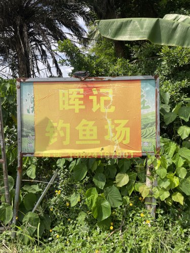 晖记钓鱼场钓场环境照片