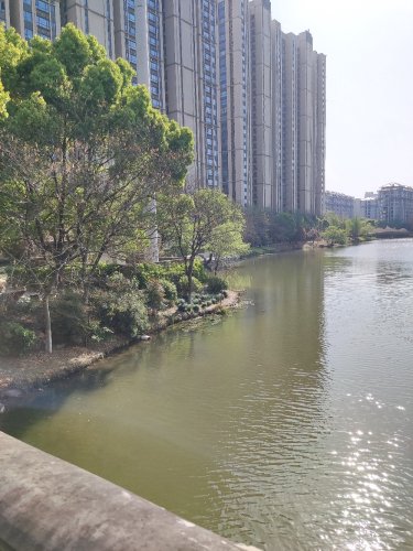 吕才庄河绿道垂钓平台钓点与钓场环境照片