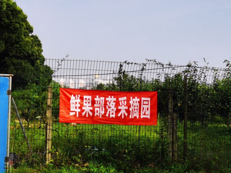 鲜果部落亲子采摘农场·烧烤垂钓·团建拓展露营地钓场环境照片