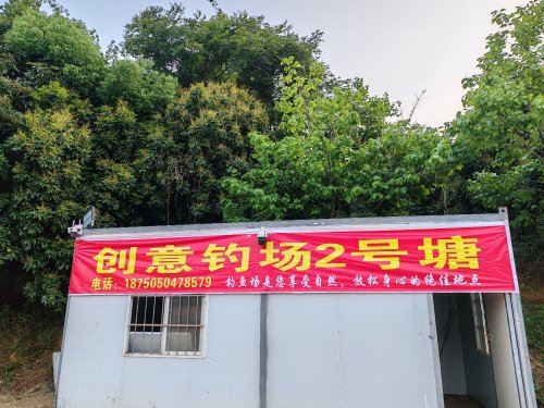 创意钓场2号塘钓场环境照片