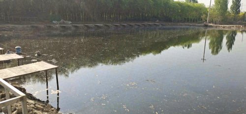 青甸佐杰垂钓园钓点与钓场环境照片