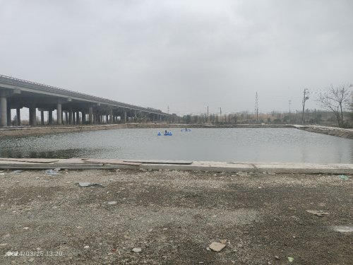 胖子垂钓园钓点与钓场环境照片