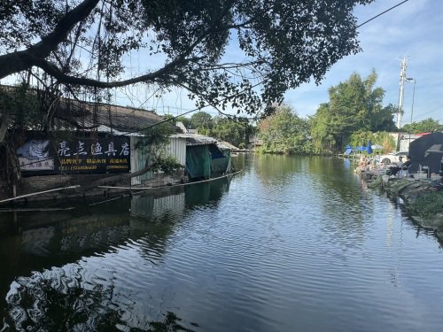 漳州亮点渔乐钓场钓场环境照片