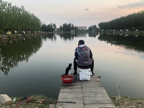 坝头垂钓园钓场环境照片