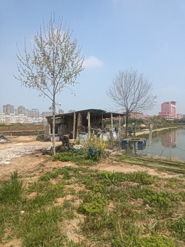 梦溪垂钓园钓场环境照片
