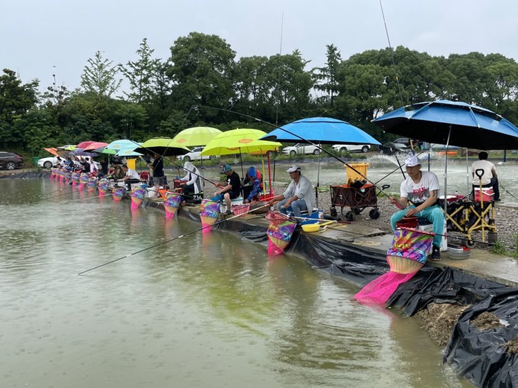 琦琦垂钓中心钓场环境照片