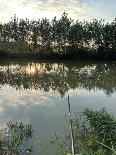 橙子的鱼塘钓场环境照片
