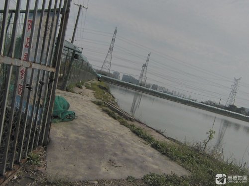 阳庄垂钓园钓场环境照片