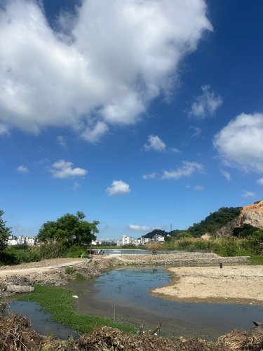 杨岙八方垂钓园钓点与钓场环境照片