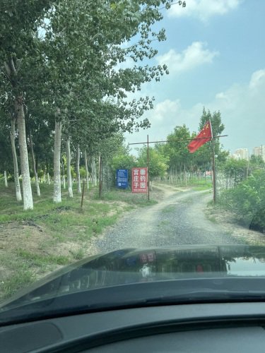 宫庄子垂钓园钓点与钓场环境照片