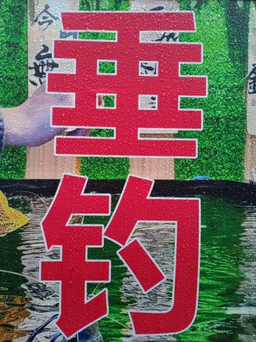 前洋垂钓园钓场环境照片