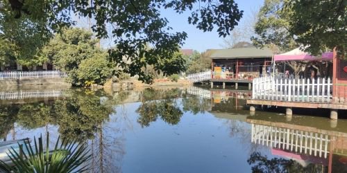 杭州之江度假荣建垂钓场钓点与钓场环境照片