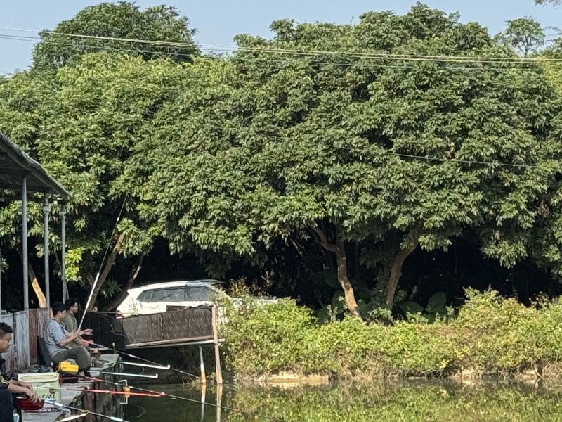 惠州南坑神仙钓鱼场钓点与钓场环境照片