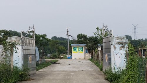 亿腾(葡园)钓场钓场环境照片